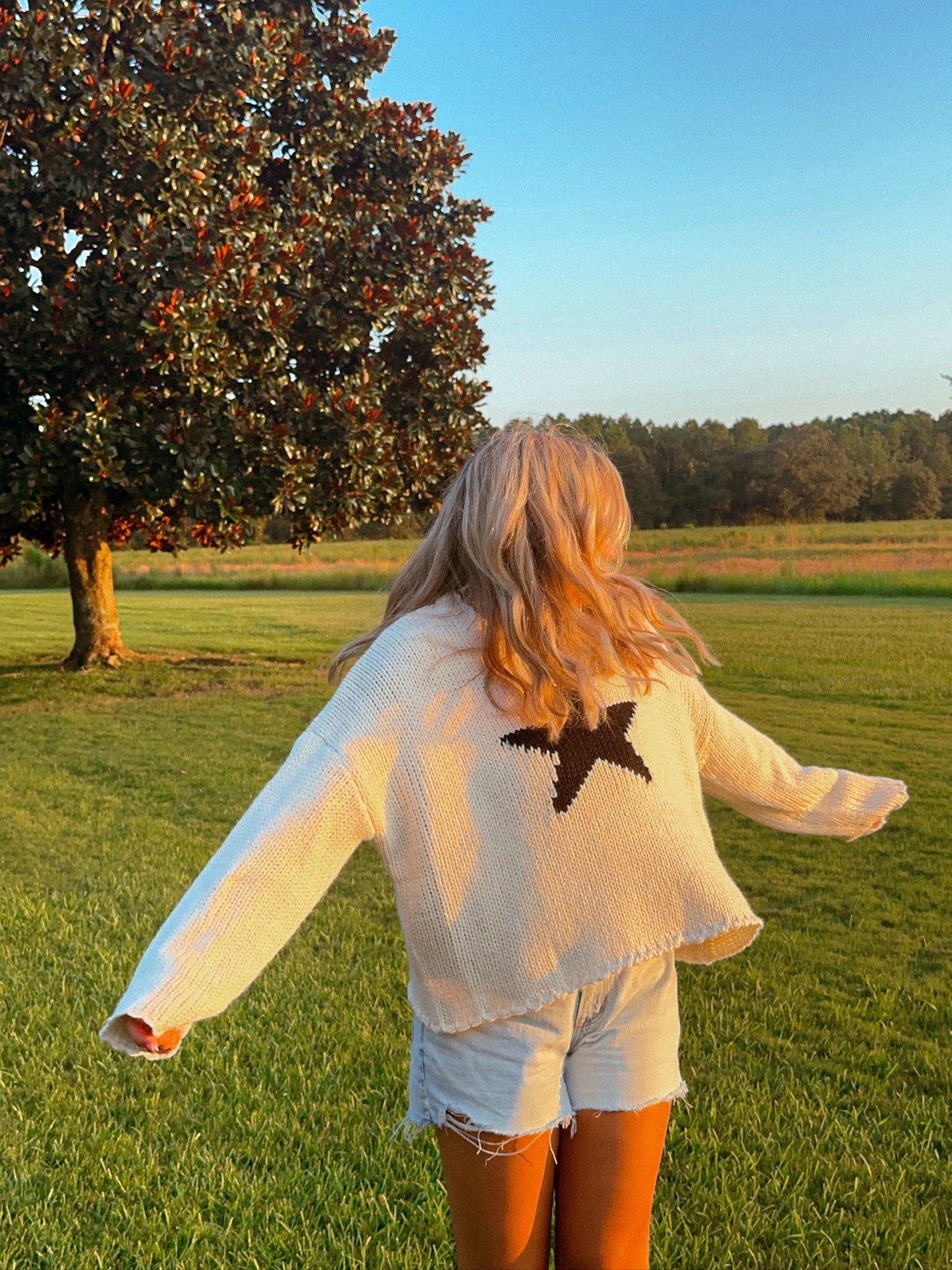 Stevie Star Sweater, White
